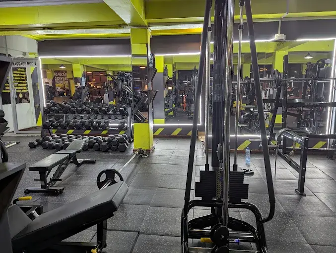 Explore our gyms, and see why we're the perfect partner for your fitness journey.